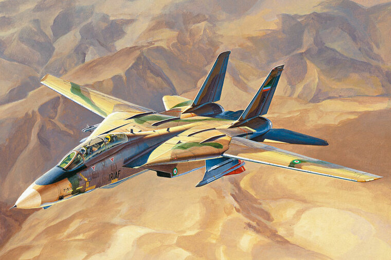 Hobby Boss 81771 Persian Cat F-14A TomCat-IRIAF Bouwpakket Schaal 1:48