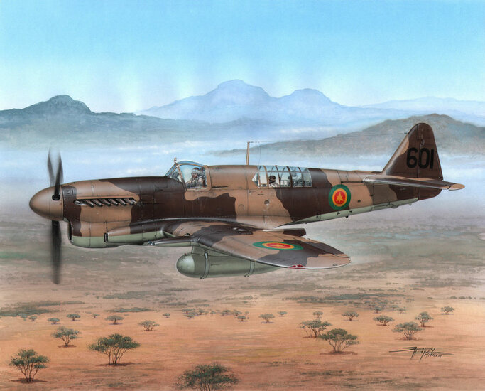Special Hobby 100-SH48151 Fairey Firefly FR Mk.I Foregin Post War Bouwpakket Schaal 1:48