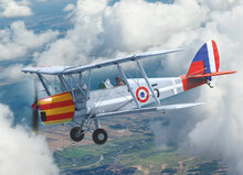 ICM 32019 DH.82A Tiger Moth of the World Air Forces Schaal 1:32