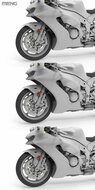 MENG-Model MT-008 Kawasaki Ninja ZX-10RR Schaal 1:9