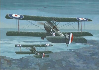 Roden 637 Sopwith 1 1/2 Strutter Comic Fighter Bouwpakket Schaal 1:32