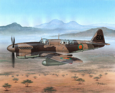 Special Hobby 100-SH48151 Fairey Firefly FR Mk.I Foregin Post War Bouwpakket Schaal 1:48