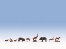 noch 36745 N wilde dieren