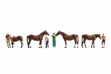 noch 15632 HO paarden verzorging
